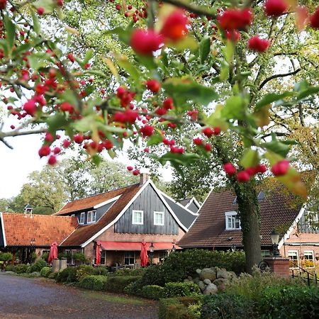 Het Ros Van Twente De Lutte Exterior photo