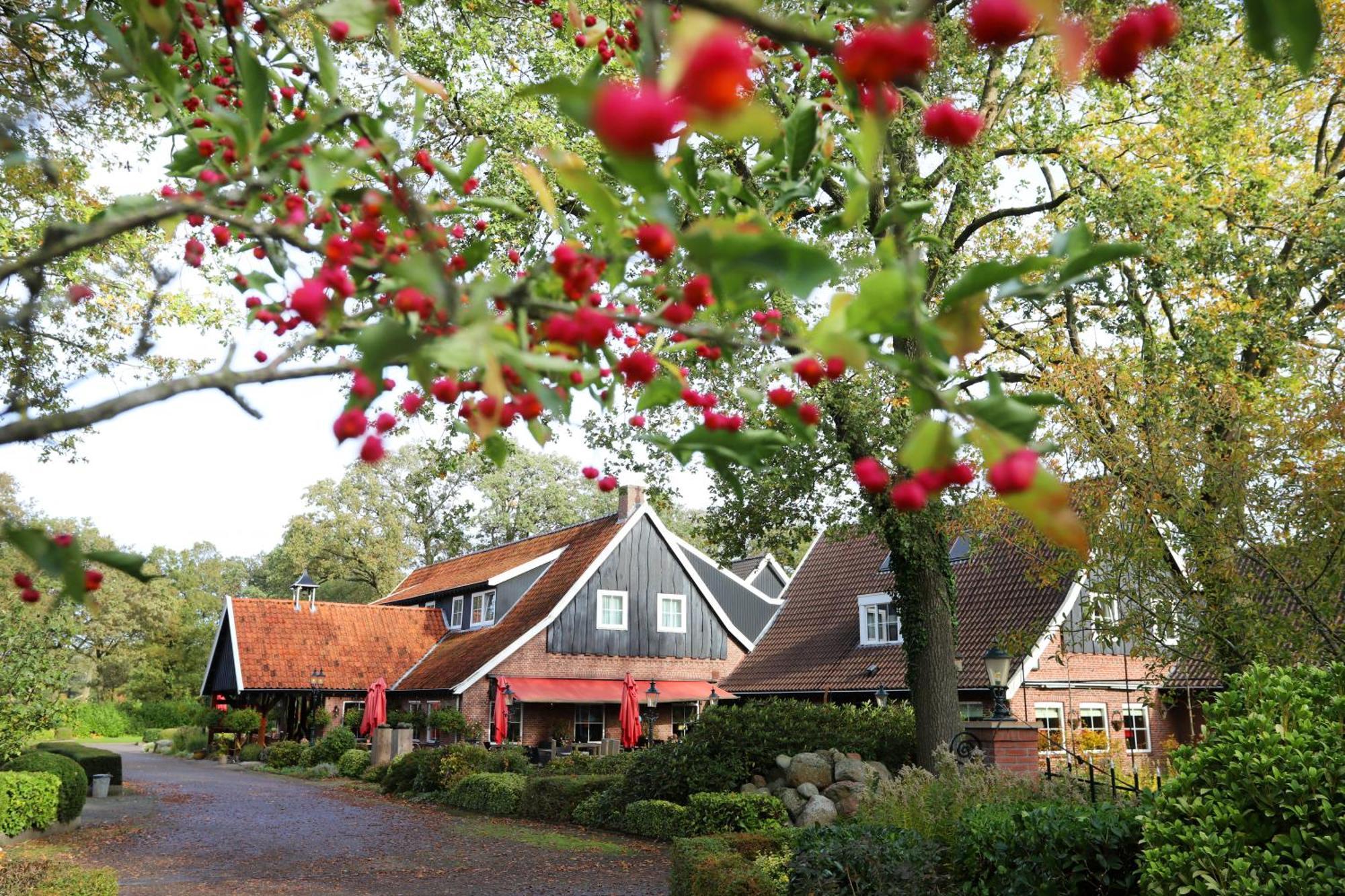 Het Ros Van Twente De Lutte Exterior photo